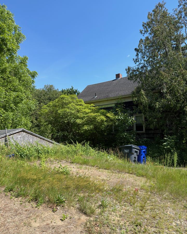Rear of the older Milford MA house hidden behind brush